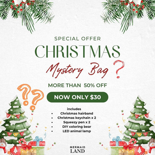 Mermaid Land Official Christmas Mystery Bag
